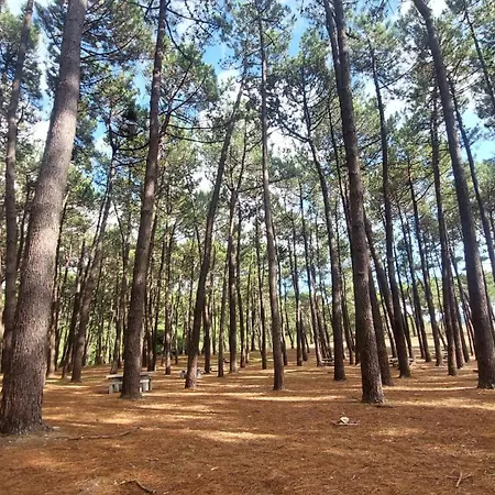 Casa Oreiro Camino Dos Faros Costa Da Morte *
